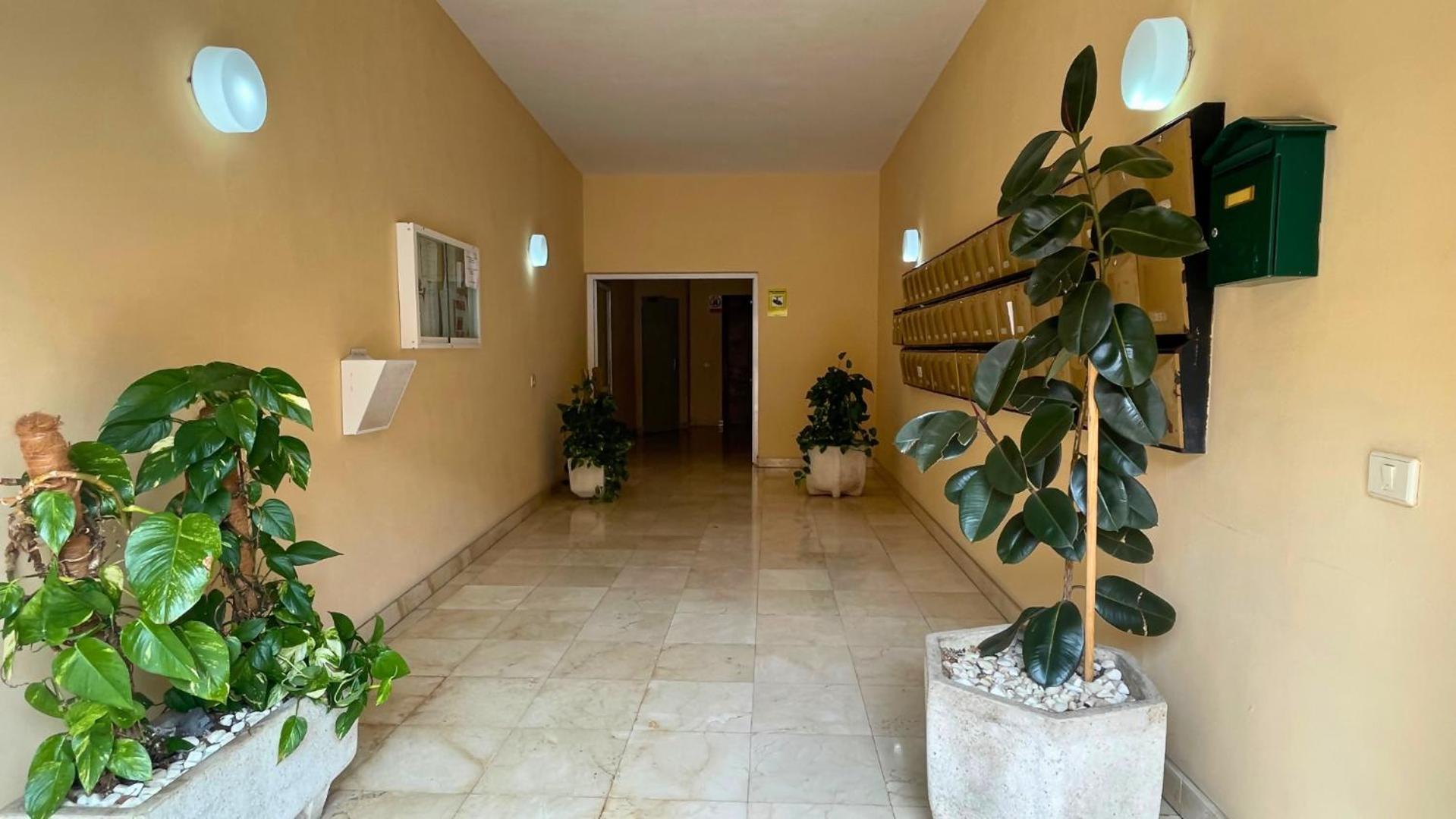 Markethome Jardines Del Mar Pool View Puerto de Santiago  Bagian luar foto